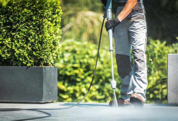 Best Soft Washing  in Kearny, NJ